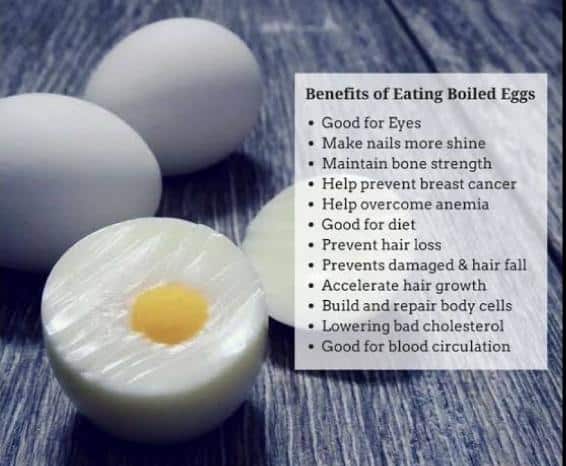 Are Grocery Store Eggs Fertilized Differences And Benefits Hero Kitchen