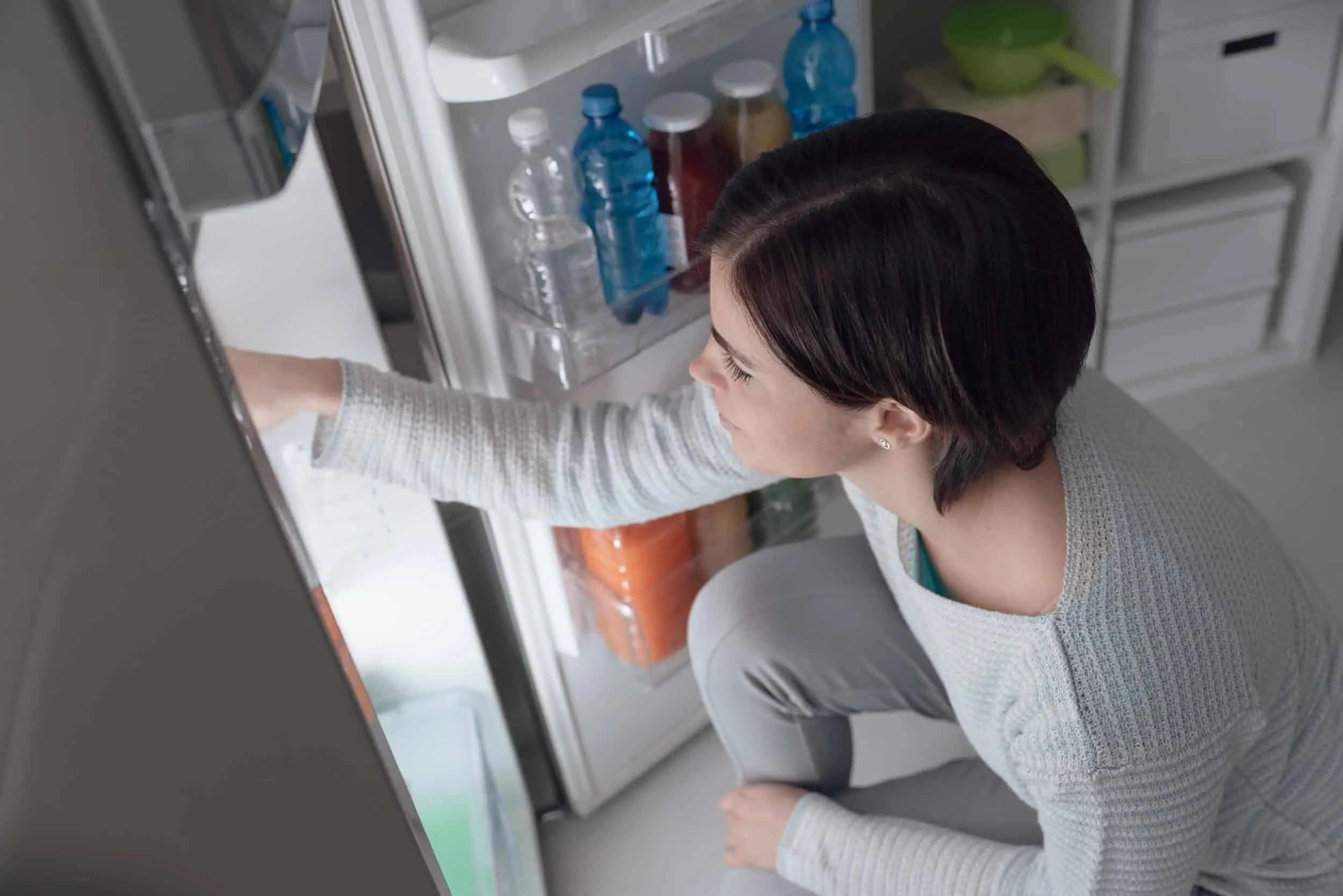 How Long do You Have to Wait to Put Food in a New Refrigerator 2022 Guide