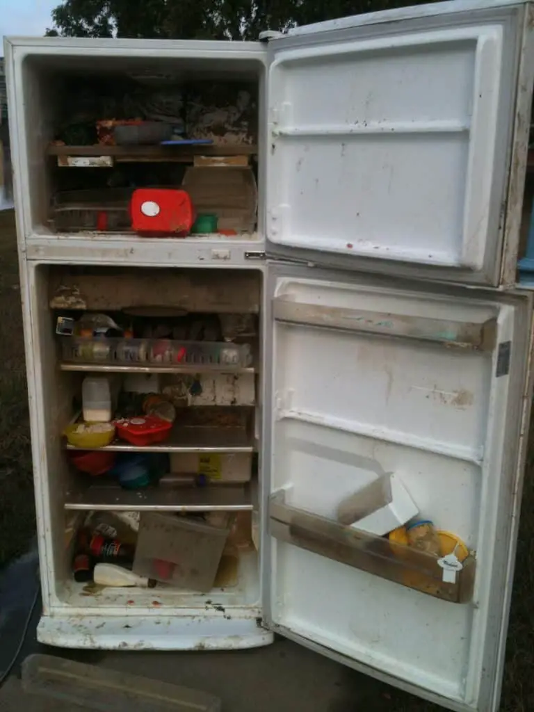 Can You Unplug A Refrigerator? Hero Kitchen