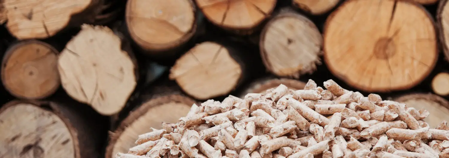 8 Best BBQ Wood Pellets for Grills 2022 Reviews and Buyer's Guide