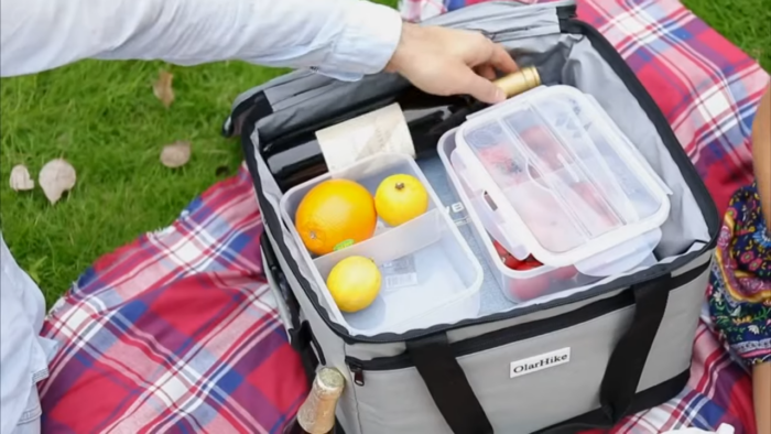 10 Best Lunch Bags to Keep Your Food Hot and Fresh 2022 - Eating the ...