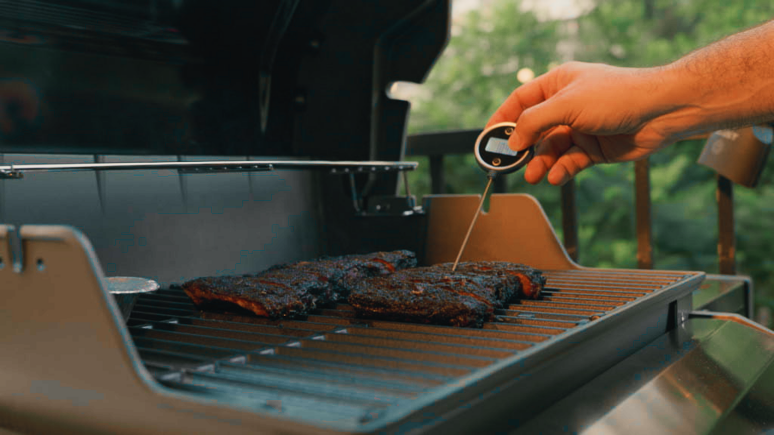 8 Best Digital Grill Thermometer 2022 Top Tool for Your Kitchen