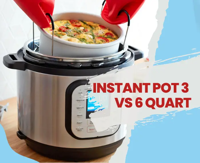 3 Quart vs 6 Quart instant pot
