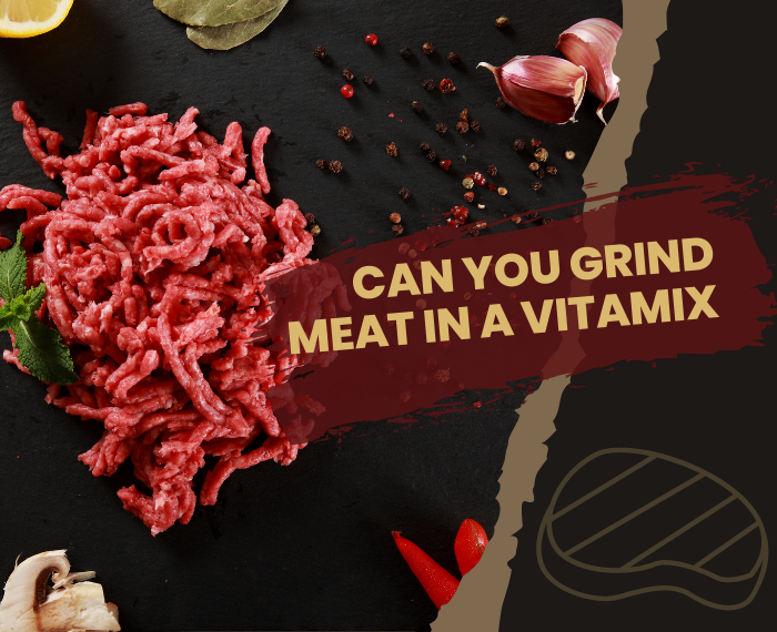 meat grinder vitamix