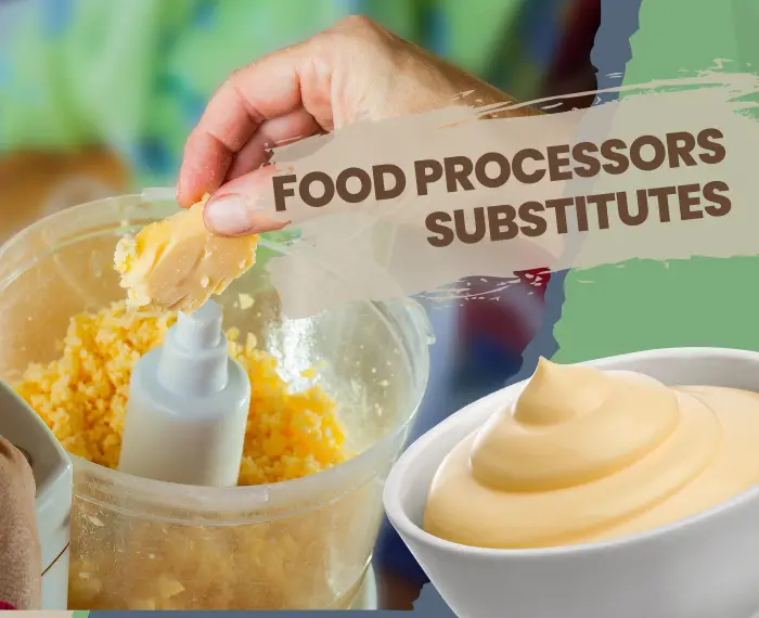 substitutes for food processors