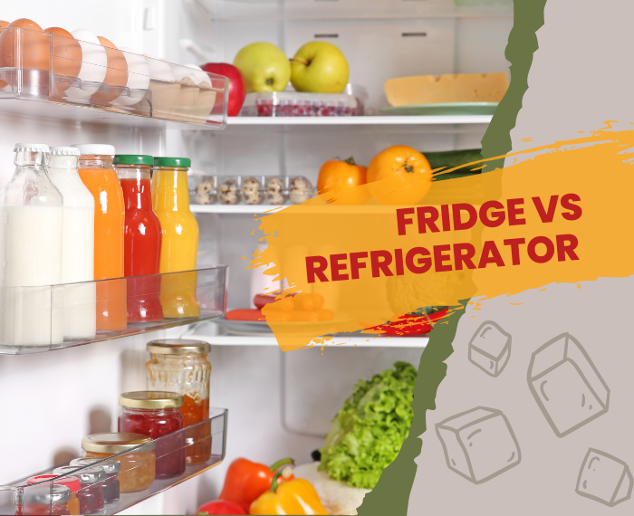 the differences between fridge and refrigerator