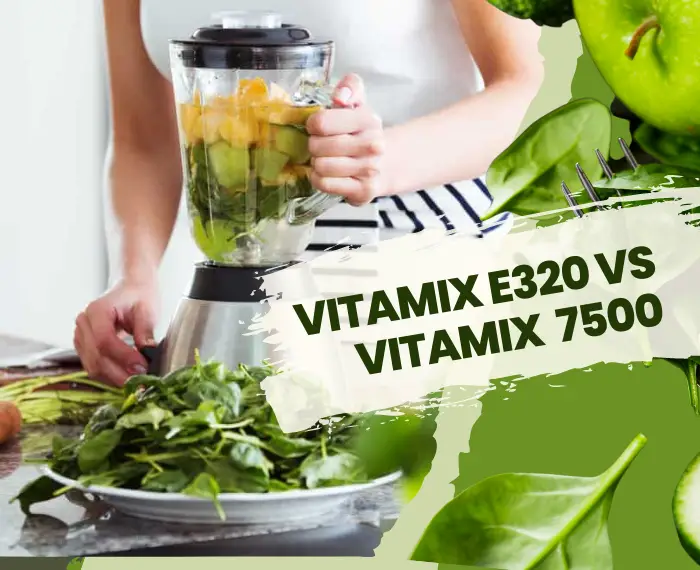 vitamix blenders E320 vs 7500